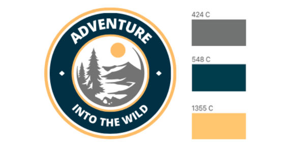 An image of what it looks like to do pantone colour matching.