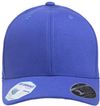Am image of a Custom Flexfit Adult Pro Formance® Solid Cap in Royal!