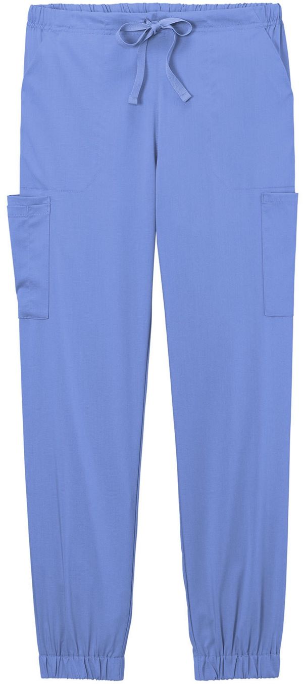 Am image of a Custom WonderWink Womens Premiere Flex Jogger Pant in Ceil Blue!