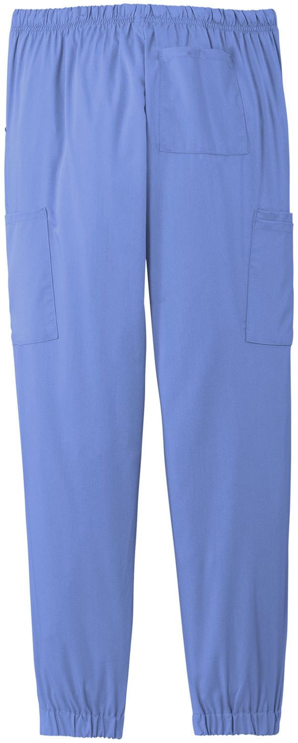 Am image of a Custom WonderWink Womens Premiere Flex Jogger Pant in Ceil Blue!