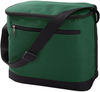 Am image of a Custom Liberty Bags 12 Pack Cooler in Forest Green!