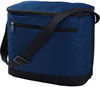 Am image of a Custom Liberty Bags 12 Pack Cooler in Navy!