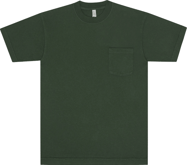 Am image of a Custom Los Angeles Apparel T Shirt With Pocket in Ivy!