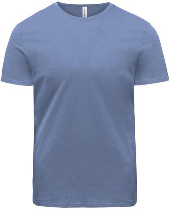 Am image of a Custom Threadfast Unisex Ultimate Cotton T Shirt in Denim!