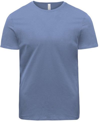 Am image of a Custom Threadfast Unisex Ultimate Cotton T Shirt in Denim!