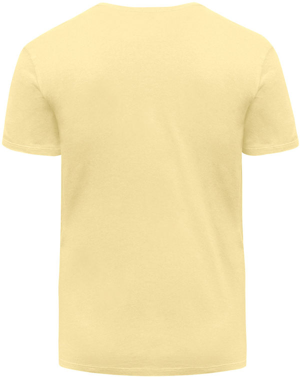 Am image of a Custom Threadfast Unisex Ultimate Cotton T Shirt in Butter!