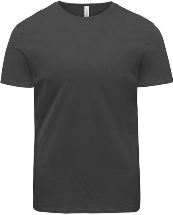 Am image of a Custom Threadfast Unisex Ultimate Cotton T Shirt in Coal!
