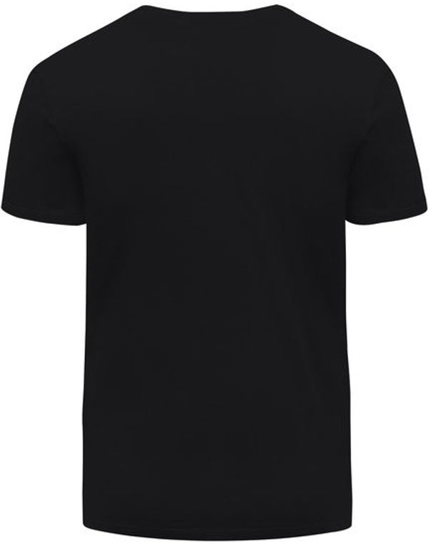 Am image of a Custom Threadfast Unisex Ultimate Cotton T Shirt in Black!