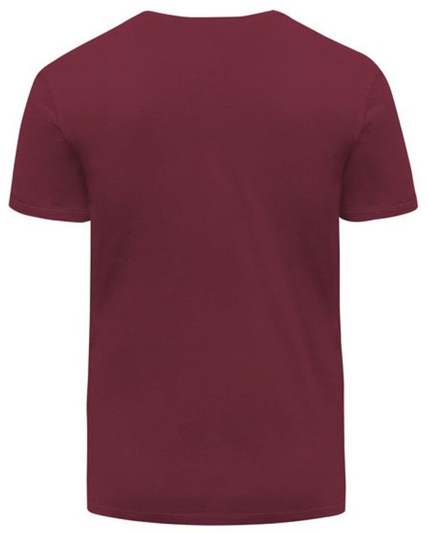 Am image of a Custom Threadfast Unisex Ultimate Cotton T Shirt in Burgundy!