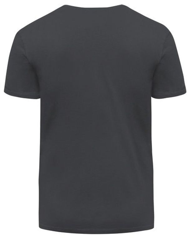 Am image of a Custom Threadfast Unisex Ultimate Cotton T Shirt in Coal!