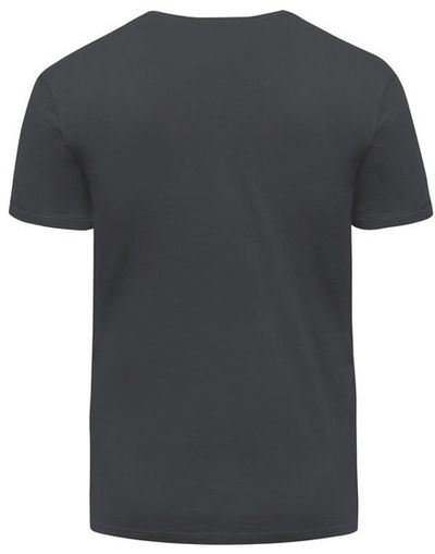 Am image of a Custom Threadfast Unisex Ultimate Cotton T Shirt in Coal!