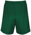 Am image of a Custom Augusta 7 Inch Modified Mesh Shorts in Dark Green!