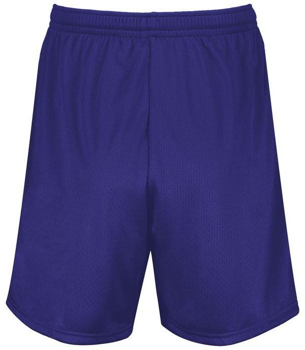 Am image of a Custom Augusta 7 Inch Modified Mesh Shorts in Purple!