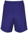 Am image of a Custom Augusta 7 Inch Modified Mesh Shorts in Purple!
