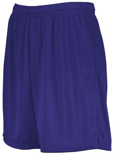 Am image of a Custom Augusta 7 Inch Modified Mesh Shorts in Purple!