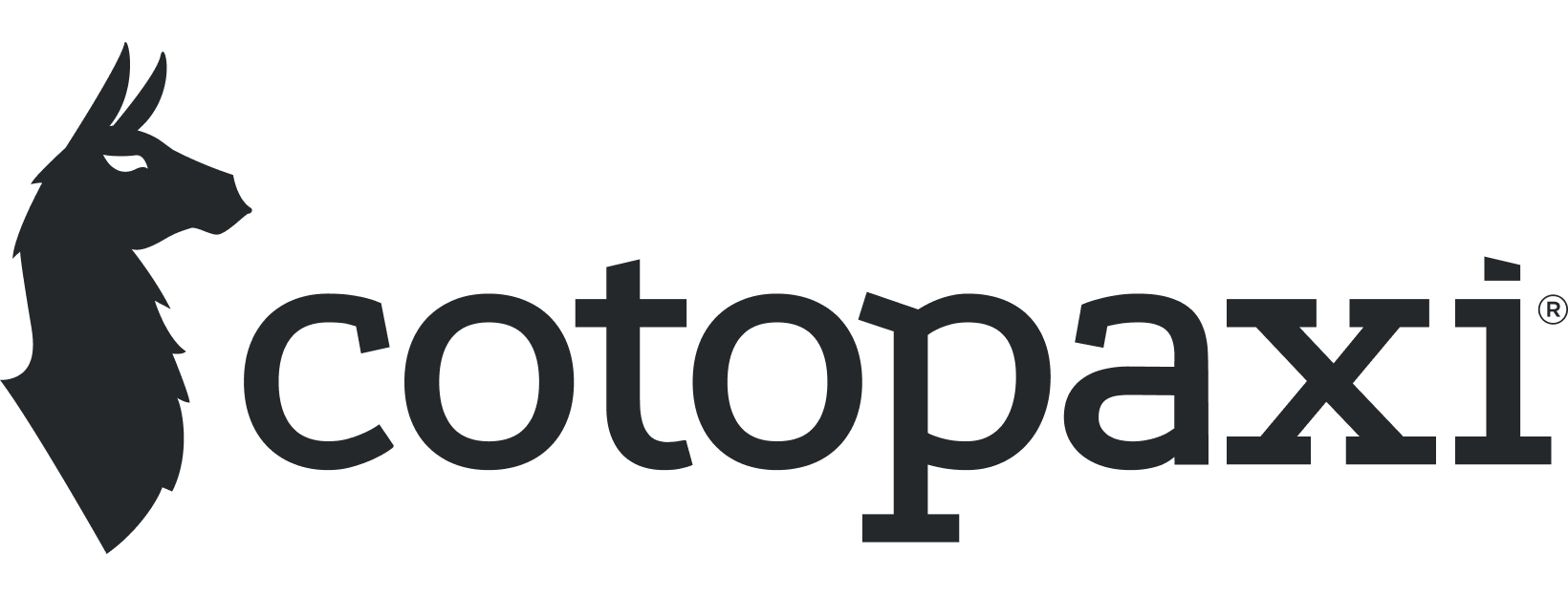 Cotopaxi Logo