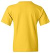 Am image of a Custom Gildan Heavy Cotton Youth T Shirt in Daisy!