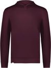 Am image of a Custom Holloway Youth Ventura Soft Knit Hoodie in Maroon!