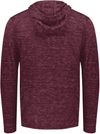 Am image of a Custom Holloway Monetary Hoodie in Maroon Heather!