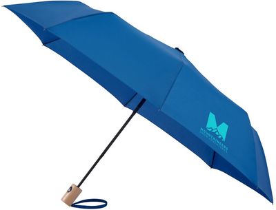 An image of a Custom 42