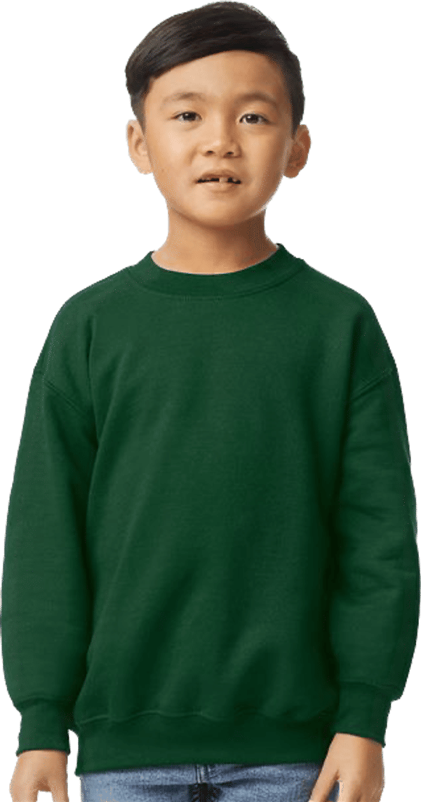 An image of a Custom Gildan Heavy Blend Youth Sweatshirt!