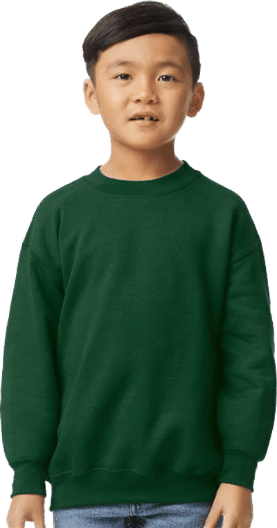An image of a Custom Gildan Heavy Blend Youth Sweatshirt!