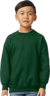 An image of a Custom Gildan Heavy Blend Youth Sweatshirt!