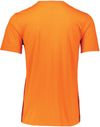 Am image of a Custom Russell Athletic Essential Tee in Burnt Orange!