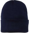 Am image of a Custom Sportsman Fleece Lined 12in Cuffed Beanie in Navy!
