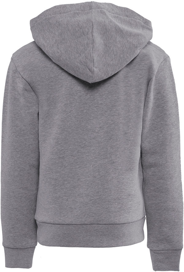 Am image of a Custom Next Level Apparel Youth Fleece Pullover Hooded Sweatshirt in Heather Gray!