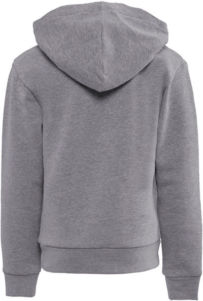 Am image of a Custom Next Level Apparel Youth Fleece Pullover Hooded Sweatshirt in Heather Gray!