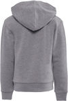 Am image of a Custom Next Level Apparel Youth Fleece Pullover Hooded Sweatshirt in Heather Gray!