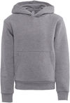 Am image of a Custom Next Level Apparel Youth Fleece Pullover Hooded Sweatshirt in Heather Gray!