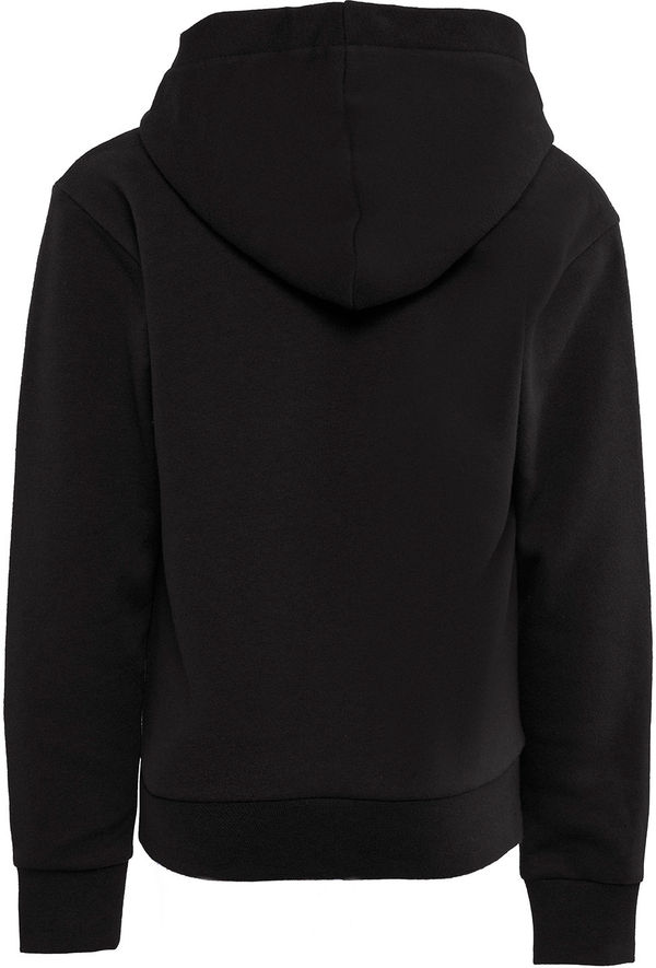 Am image of a Custom Next Level Apparel Youth Fleece Pullover Hooded Sweatshirt in Black!