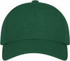An image of a Custom AJM Brushed Cotton Drill Youth Cap in Forest Green!