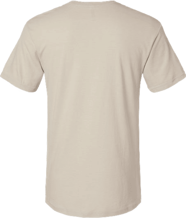 Am image of a Custom American Apparel Unisex CVC V Neck Tee in Heather Bone!