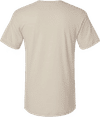 Am image of a Custom American Apparel Unisex CVC V Neck Tee in Heather Bone!