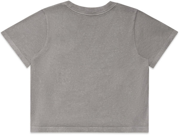 Am image of a Custom AS Colour Womens Stone Wash Heavy Crop in Grey Stone!