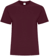Am image of a Custom ATC Everyday Cotton Blend Tee in Maroon!