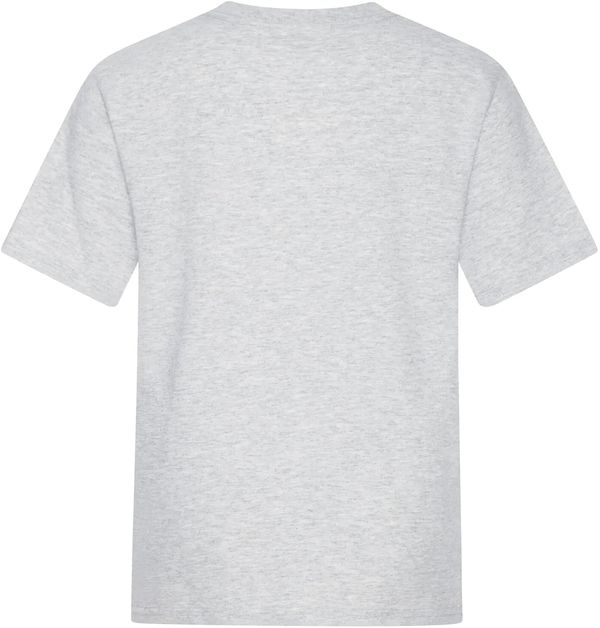 Am image of a Custom ATC Everyday Cotton Youth Tee in Ash Grey!