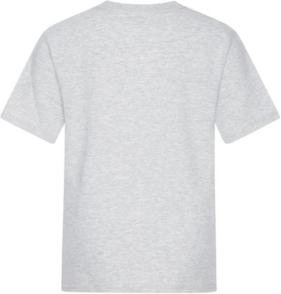 Am image of a Custom ATC Everyday Cotton Youth Tee in Ash Grey!