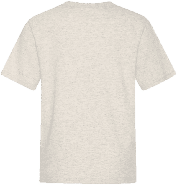 Am image of a Custom ATC Everyday Cotton Youth Tee in Oatmeal Heather!