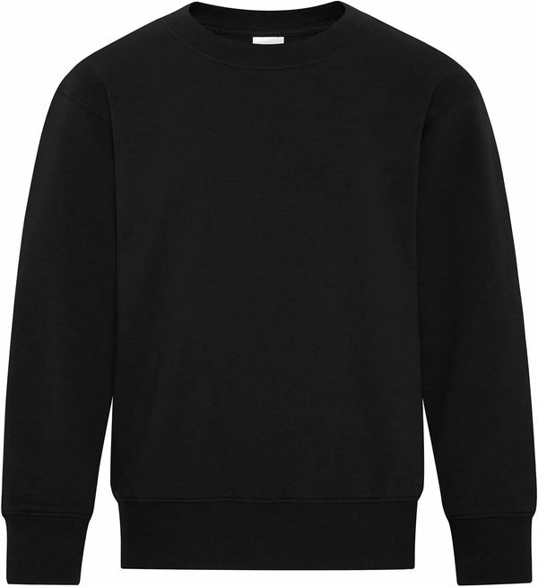 Am image of a Custom ATC Everyday Fleece Crewneck Youth Sweatshirt in Black!
