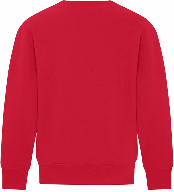 Am image of a Custom ATC Everyday Fleece Crewneck Youth Sweatshirt in Red!