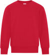 Am image of a Custom ATC Everyday Fleece Crewneck Youth Sweatshirt in Red!