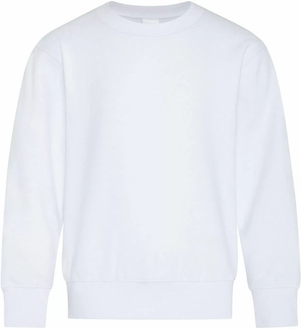 Am image of a Custom ATC Everyday Fleece Crewneck Youth Sweatshirt in White!