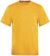 Am image of a Custom ATC Pro Team Short Sleeve Youth Jersey in Gold!
