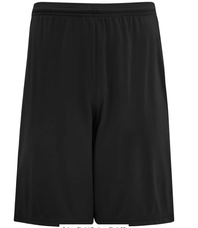 Authentic Pro Team Shorts in Black