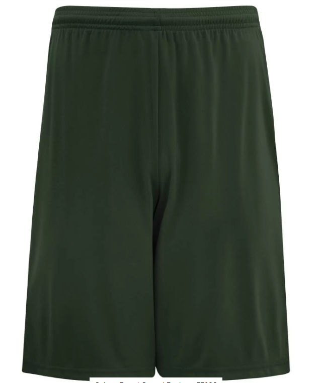 Authentic Pro Team Shorts in Forest Green
