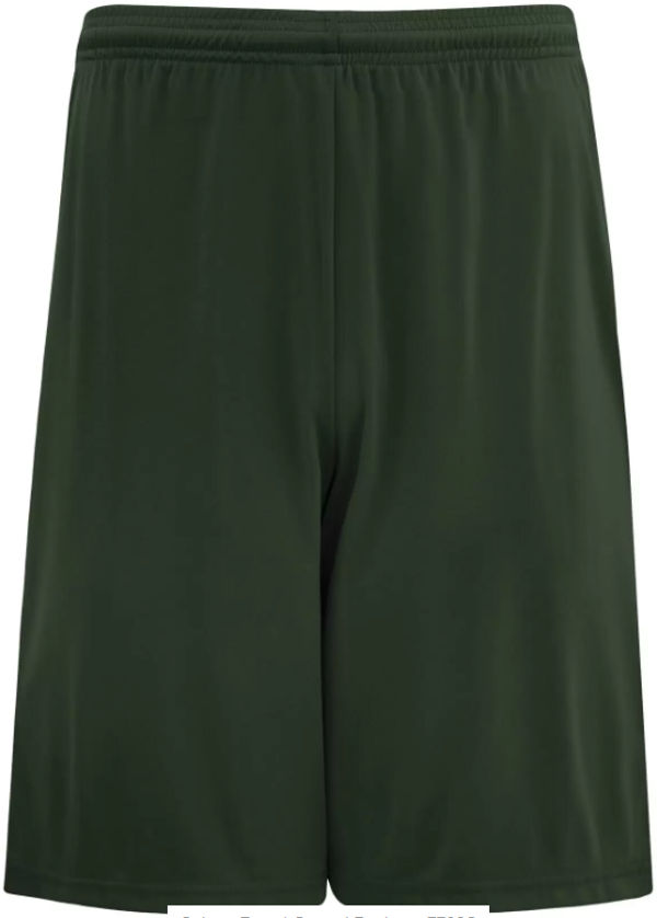 An image of a Custom Authentic Pro Team Shorts in Forest Green!